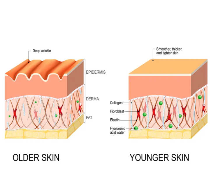 Youthful Glow Hydration Serum